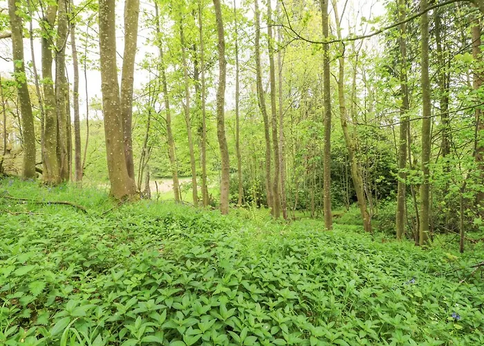 Σπίτι διακοπών Marton *